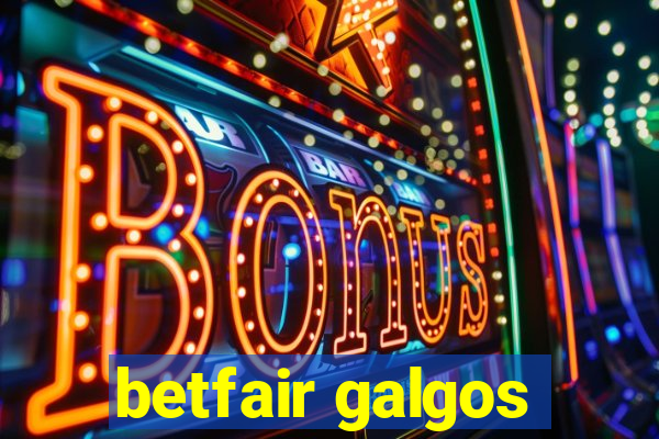 betfair galgos